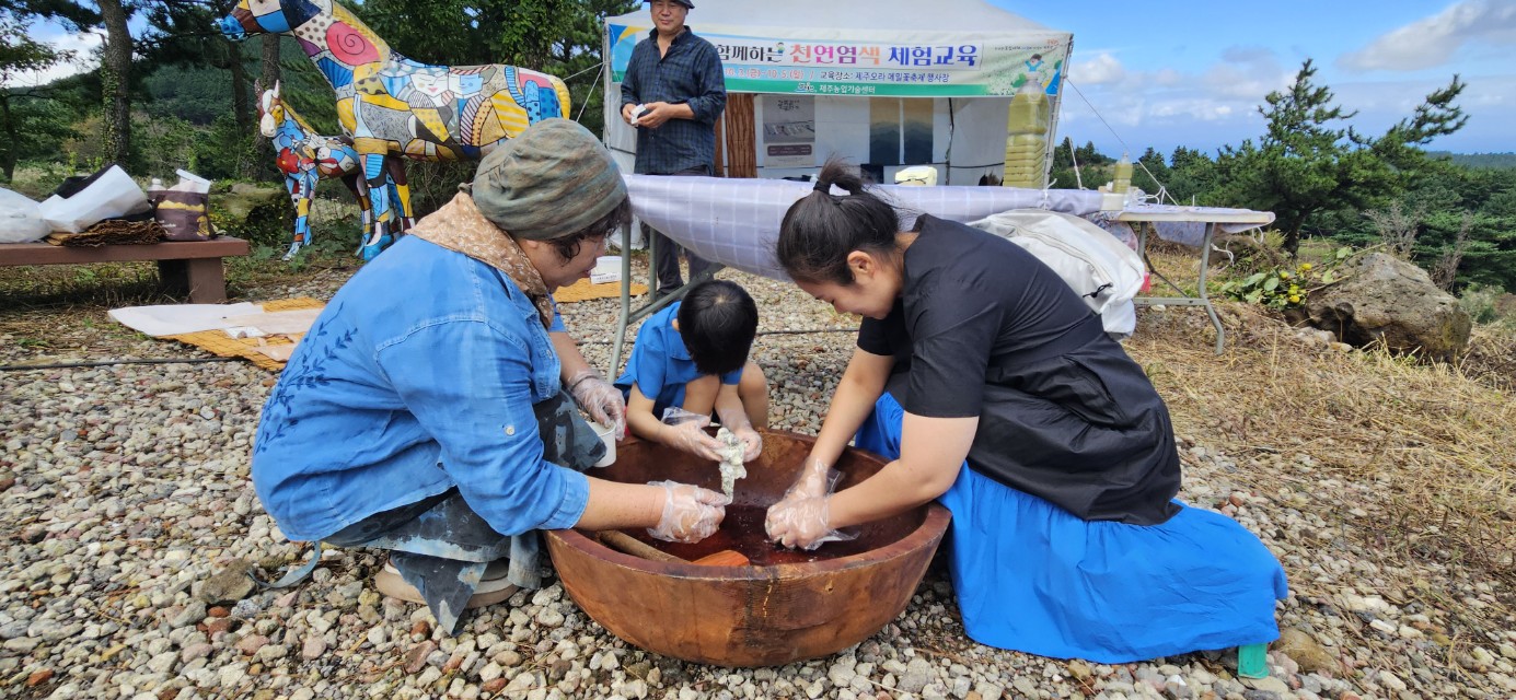 2025년 메밀꽃과 함께하는 천연염색 체험교육