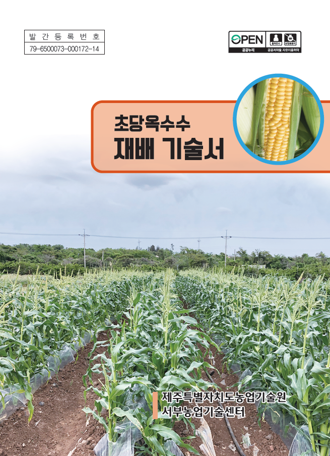 핵심지도기술요강(초당옥수수)