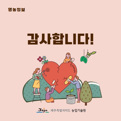 46.1분뉴스_치유프로그램 5.jpg