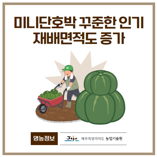 12.1분뉴스_미니단호박 1.jpg