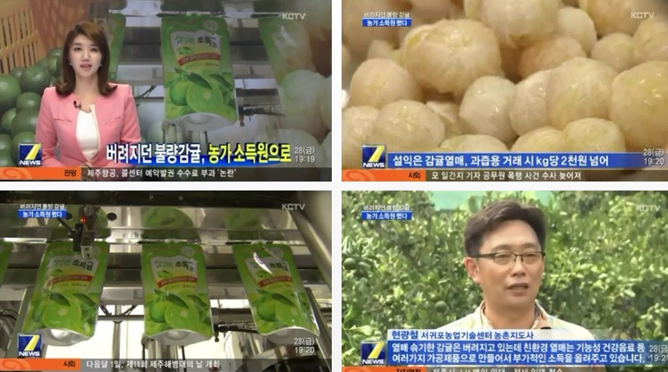 버려지던 불량감귤, 농가 소득원으로 [KCTV-2015.8.28.]