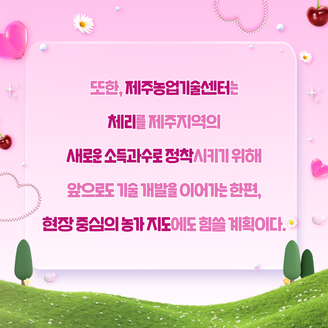 제주산 체리 출하 및 실증 결과 (7).jpg