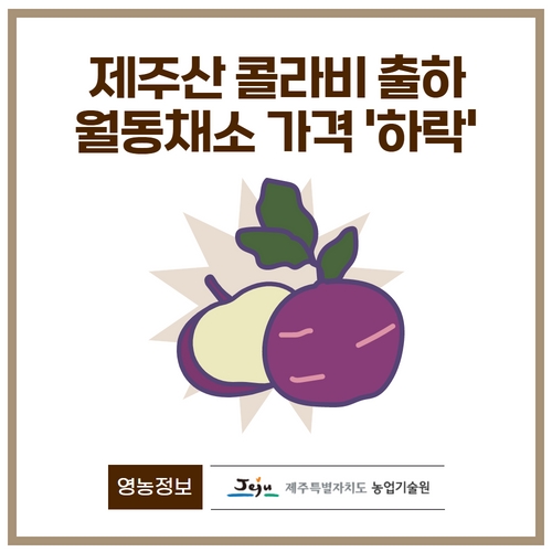 2.제주산콜라비  (1).jpg