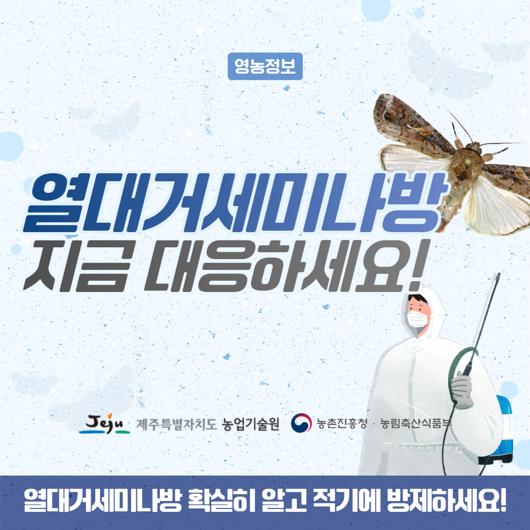 25. 4. 열대거세미나방 1.png