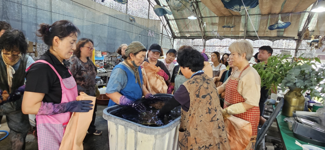 제주 전통감물. 허브 활용 천연염색 아카데미 교육 - 2회차