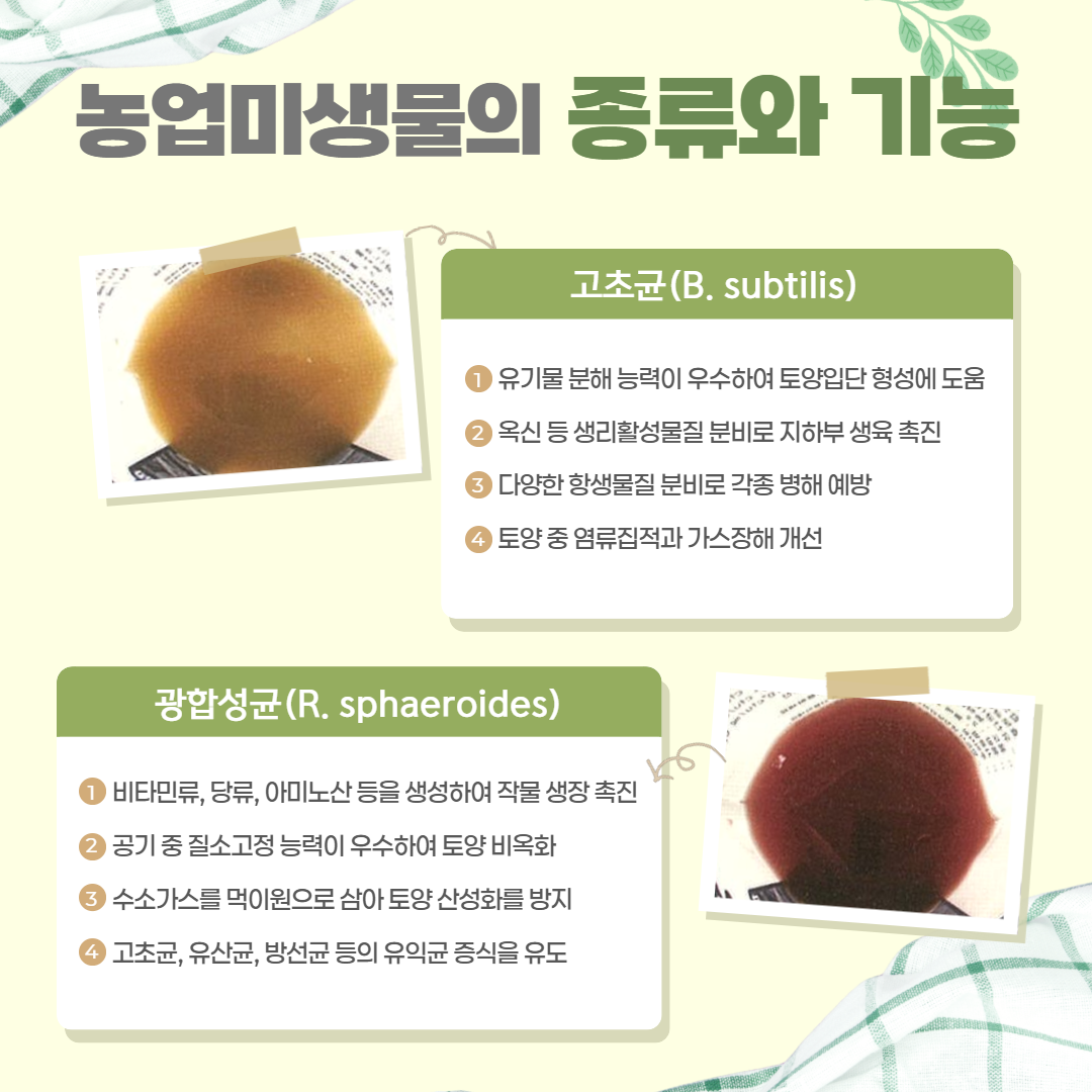 농업미생물 활용 (3).png