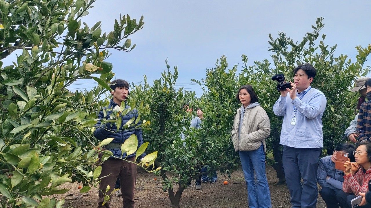 2026년 노지감귤 정지전정 교육(남원농협) 