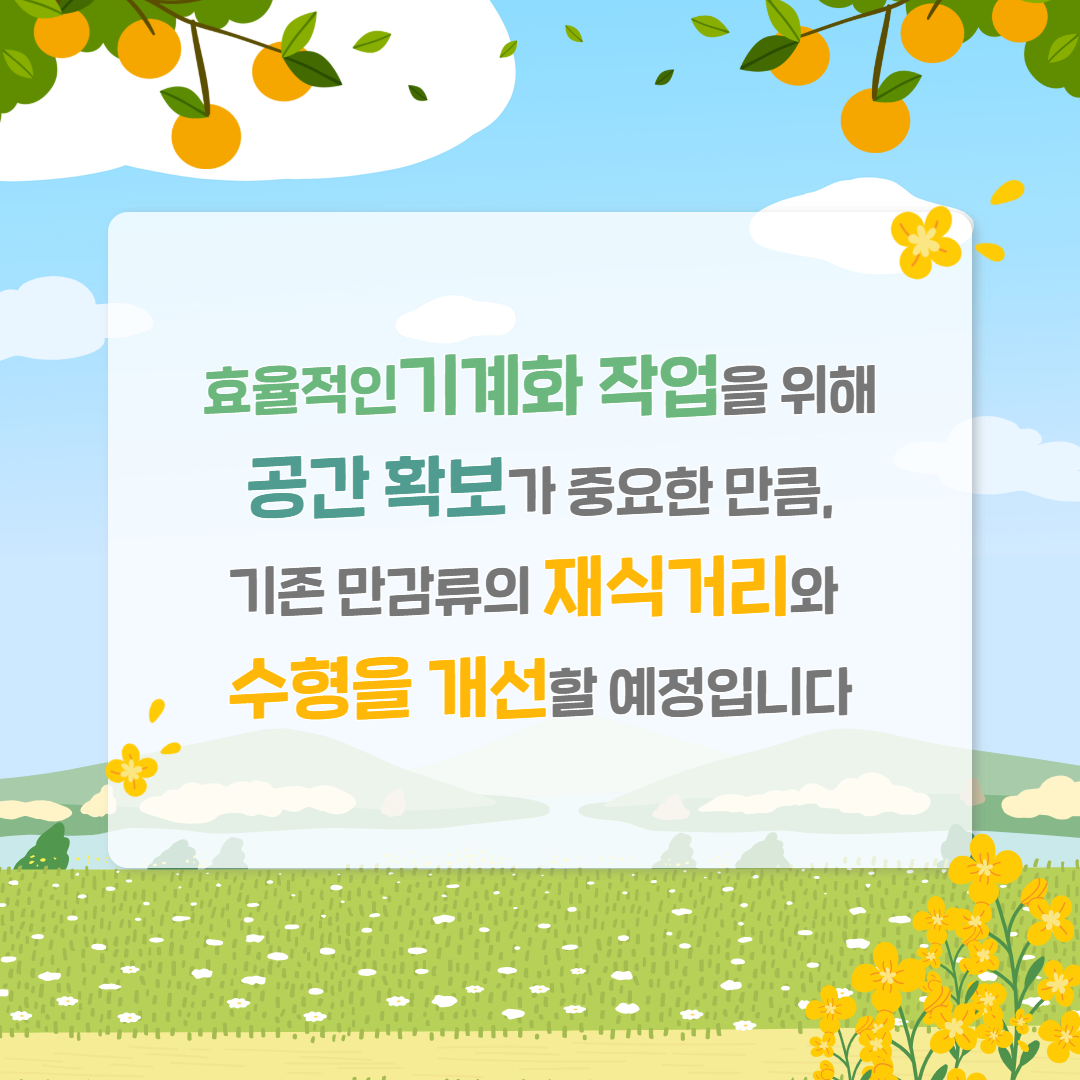 시설만감류 노동력 절감형 과원 모델 개발 착수 (3).png