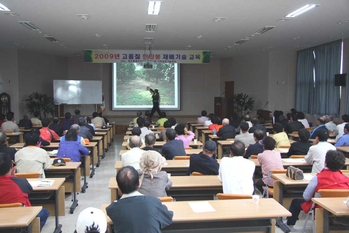 한라봉교육