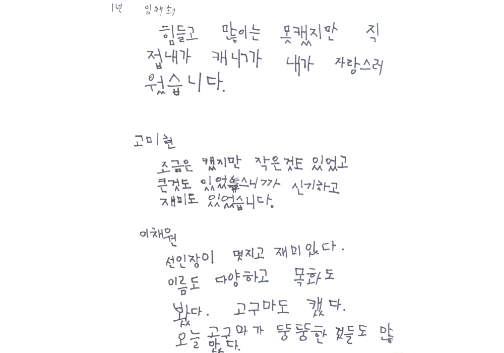 어린이체험학교