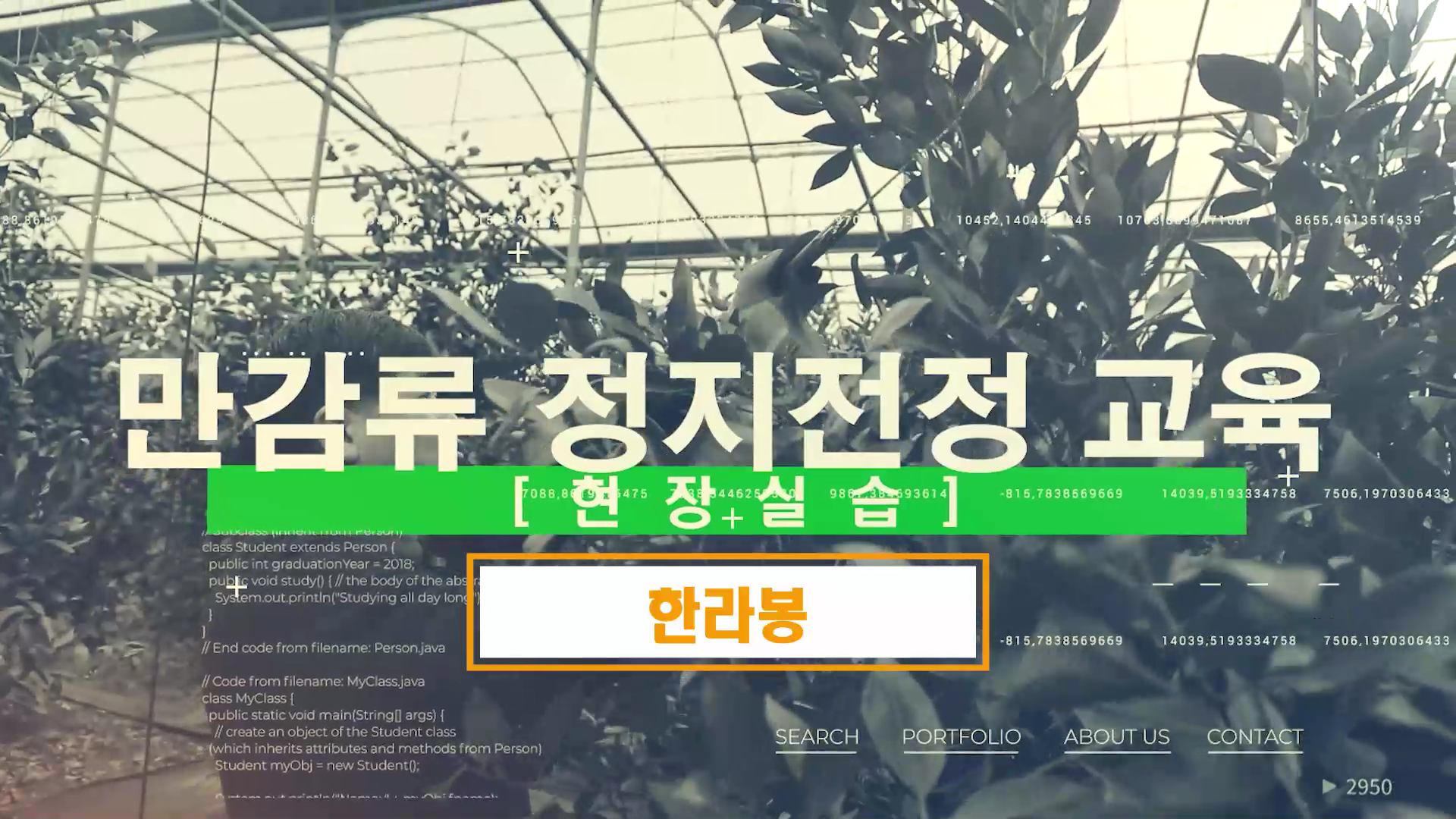 2022년 만감류 정지전정 교육(현장실습-한라봉)