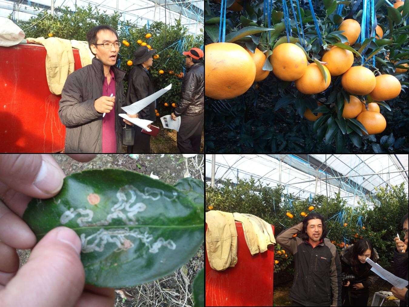 농촌지도사업 결과 평가회(2010.11.26)