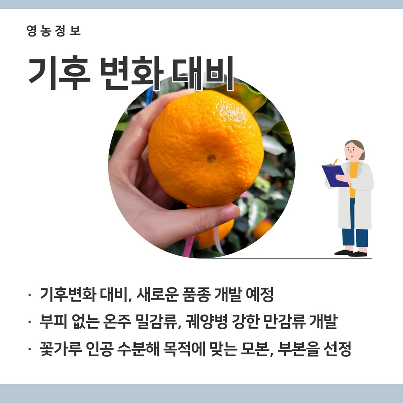 신감4.jpg