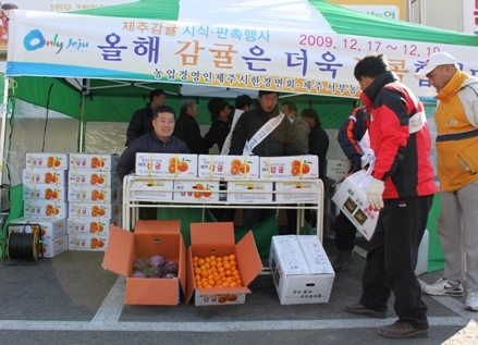 감귤판촉