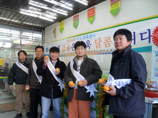 감귤판촉행사