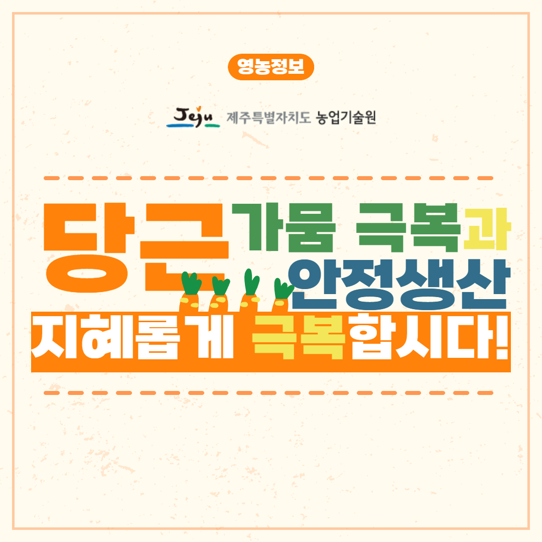 당근 파종기 안정생산 (4).jpg