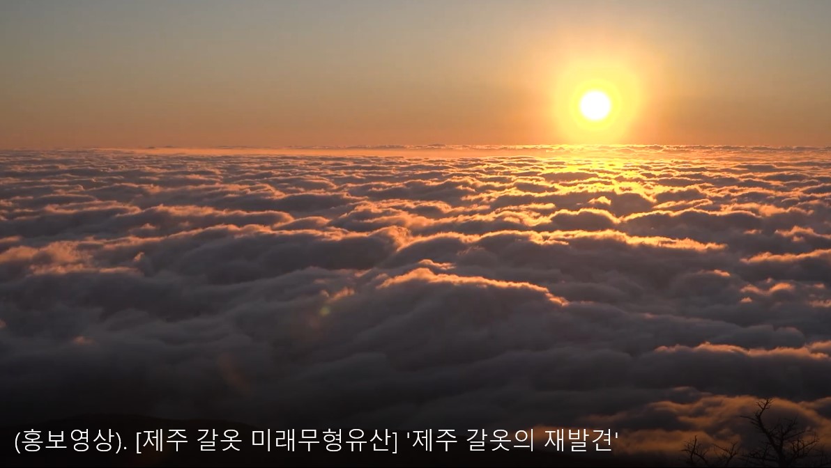 (홍보영상) 제주 갈옷 미래무형유산 제주 갈옷의 재발견 