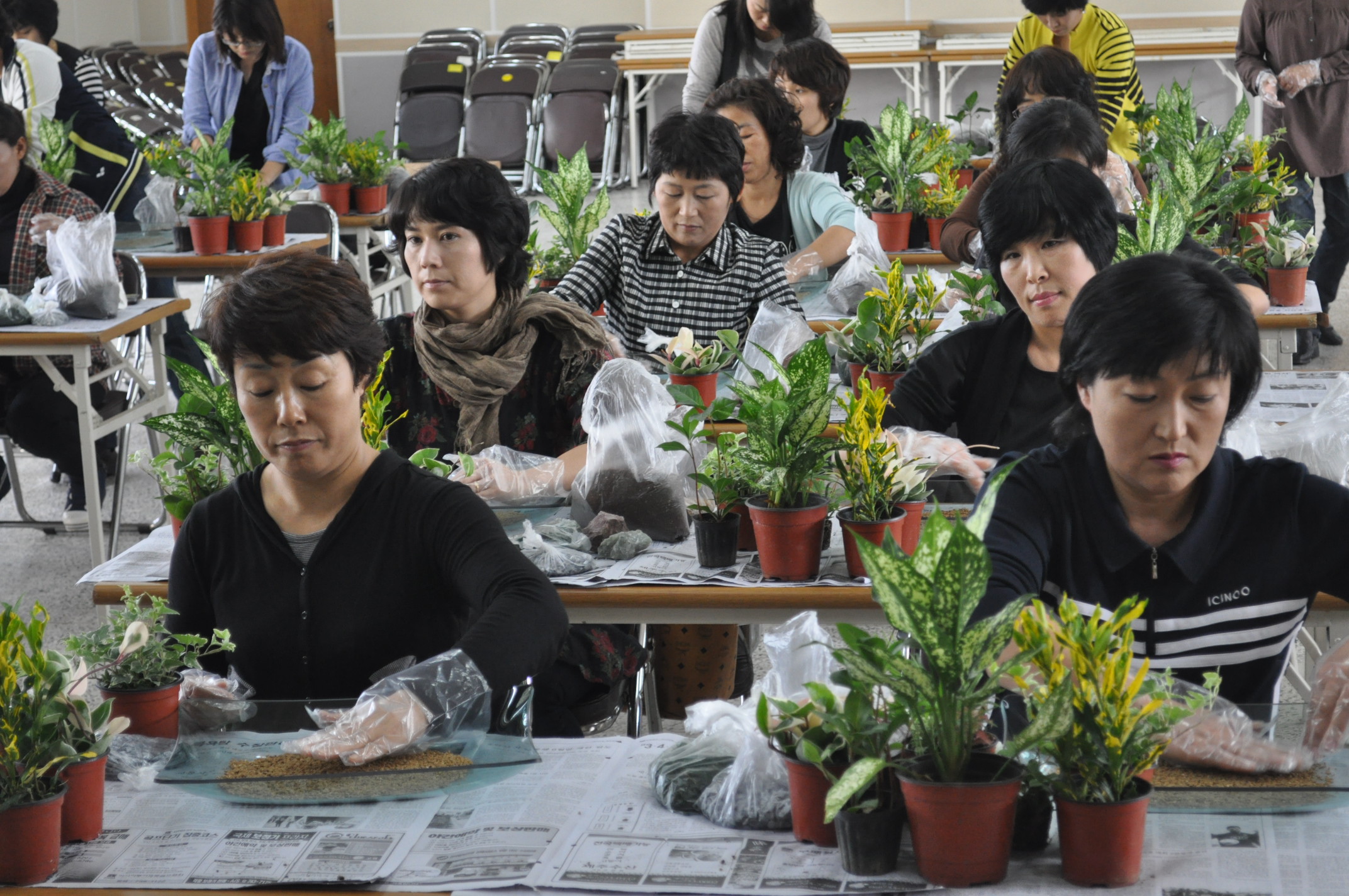 생활원예 생활화 교육(2010.10.18)