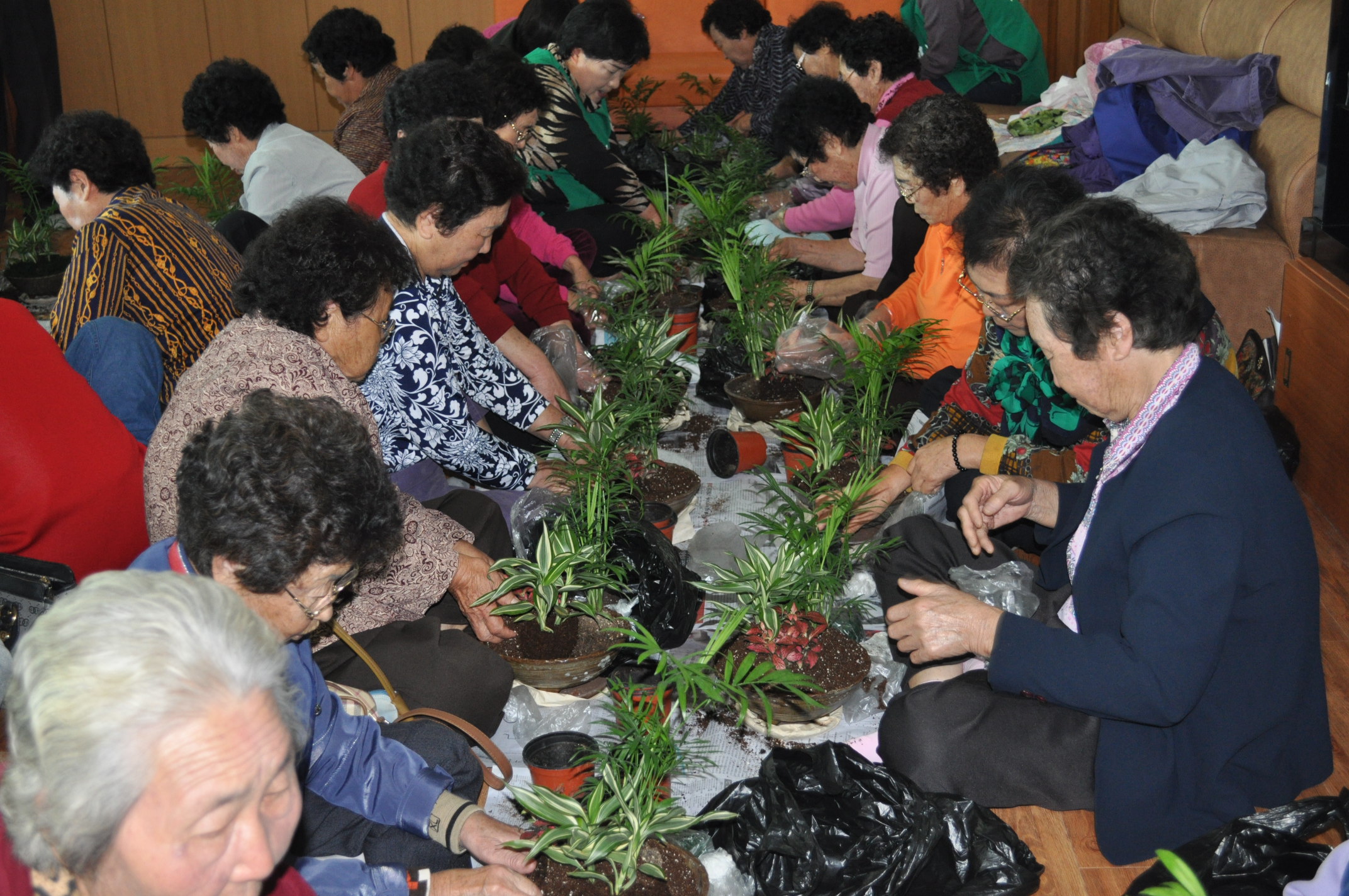 농촌건강장수마을 교육(2010.11.01)