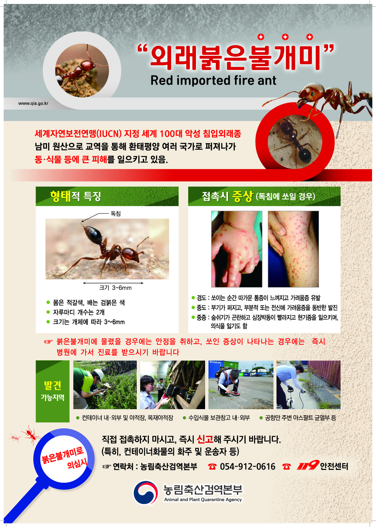 외래 붉은불개미 예찰활동 및 발견신고 안내