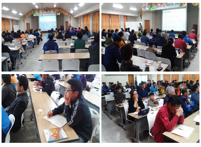 감평(레드향) 재배기술 교육