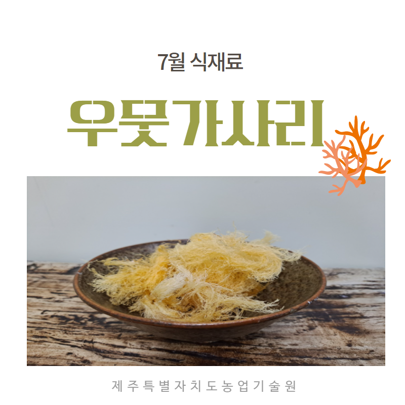 7월 식재료 (우뭇가사리)