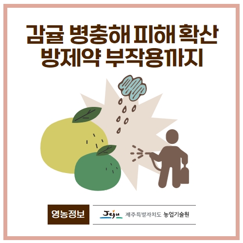 29.1분뉴스_감귤병충해 1.jpg