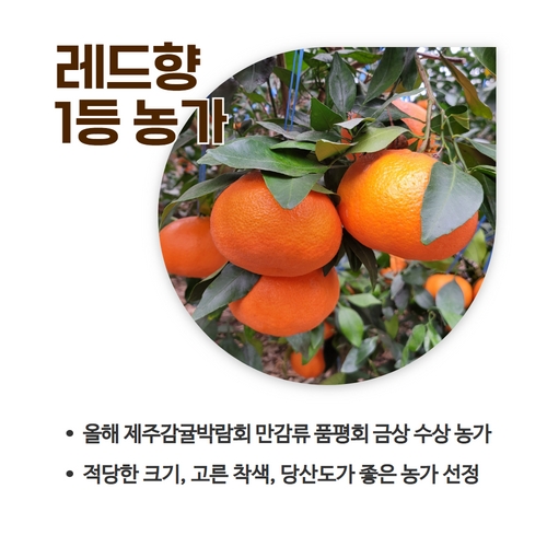 3.카드뉴스_레드향비법 (2).jpg