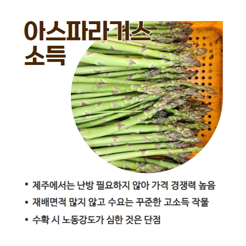 13.1분뉴스_아스파라거스 4.jpg