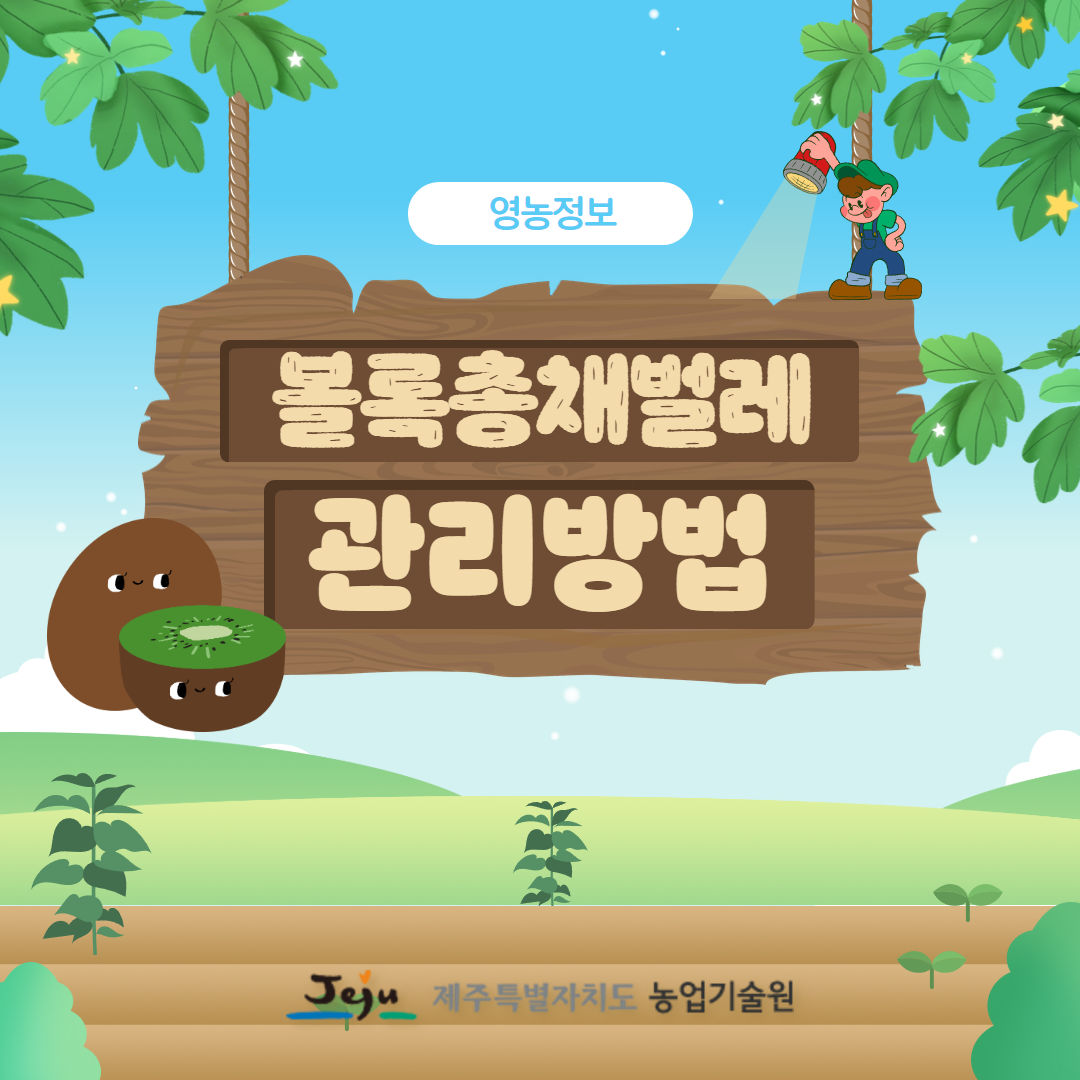 키위 총채벌레 관리 방법 (1).png