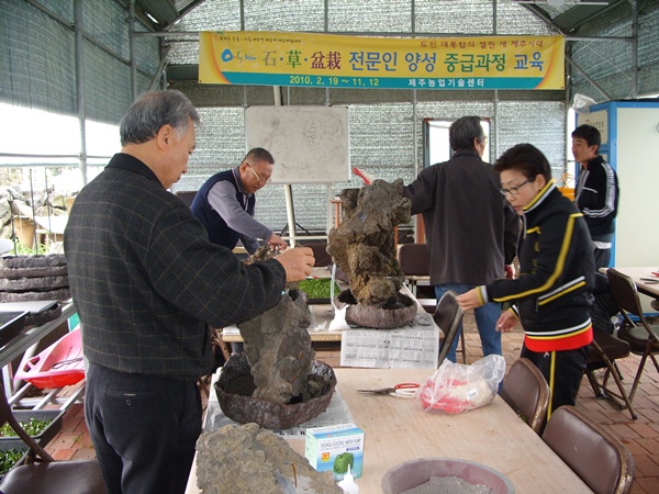 석·초·분재 전문인양성 중급과정