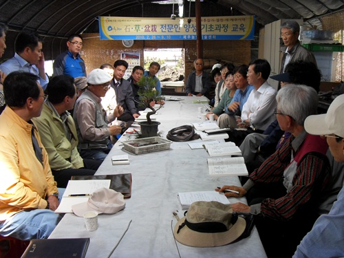 석초분재 교육(기초)