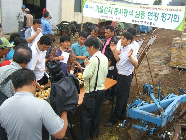 가을감자 평가회