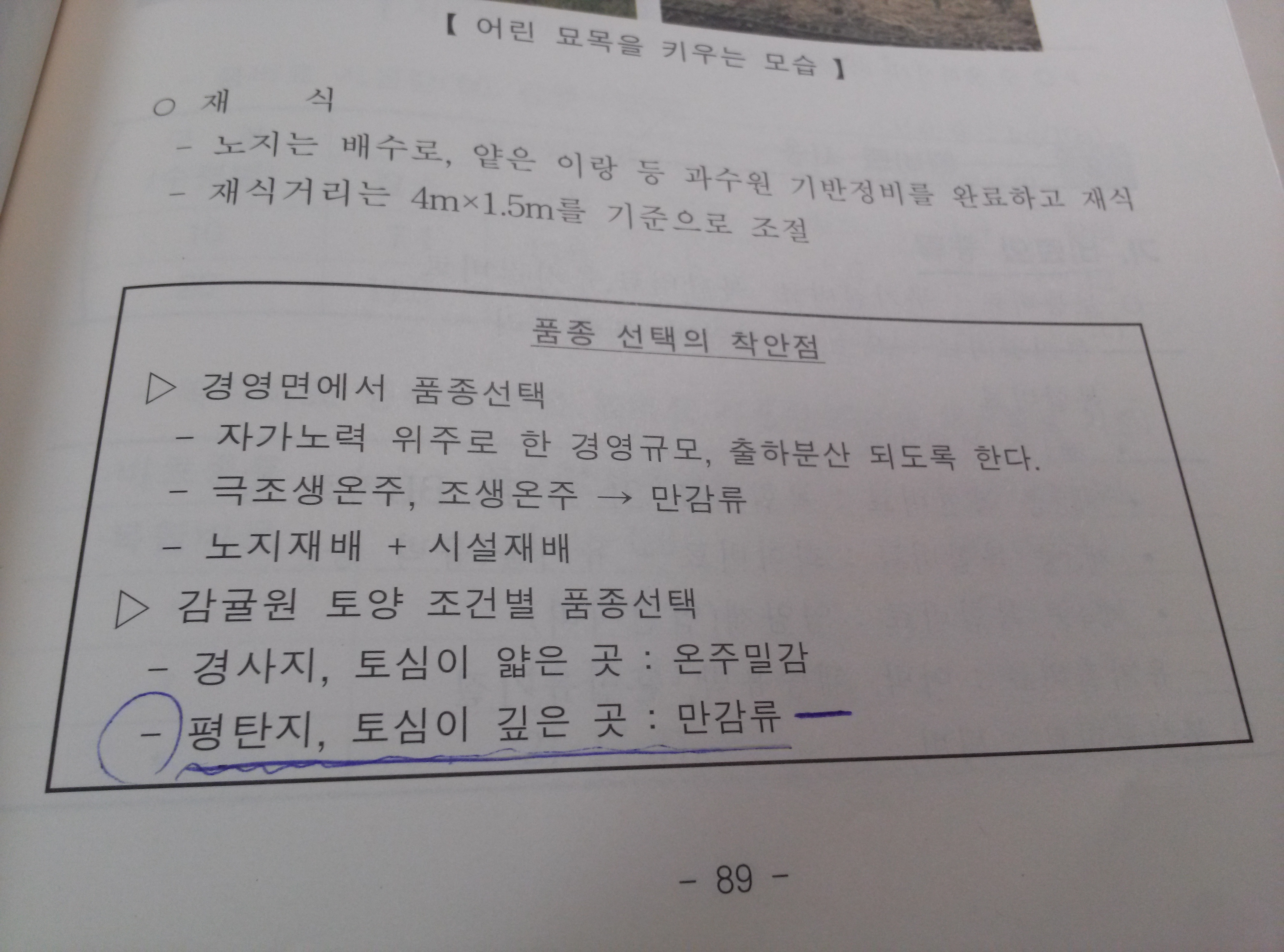 감귤원 선택시 토양성질 문의드립니다