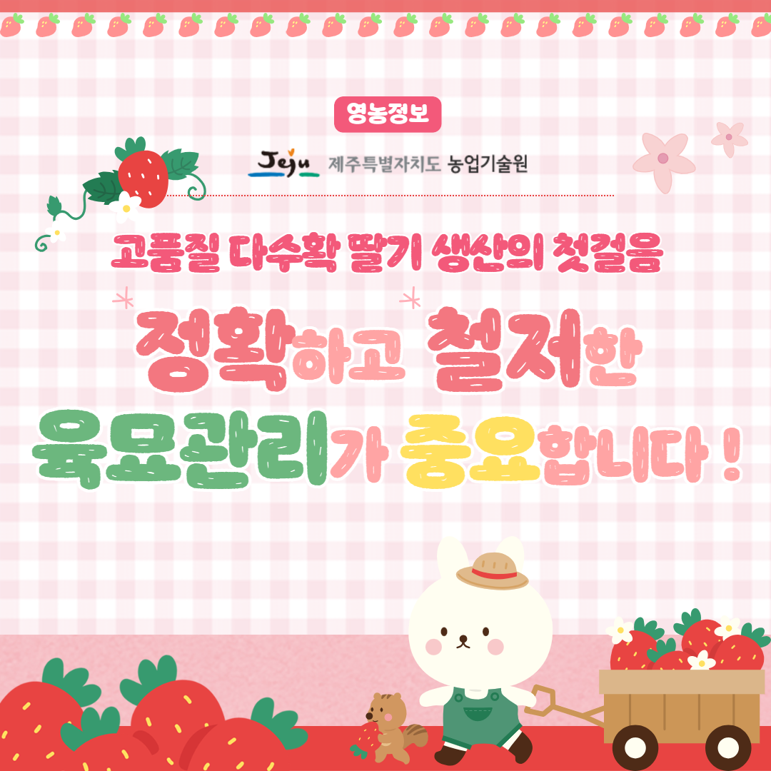 철저한 딸기 육묘 당부 (5).png