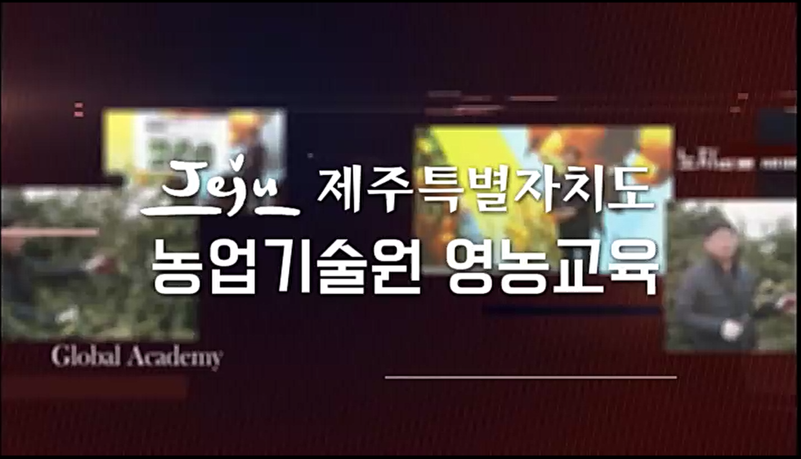 제주특별자치도 농업기술원 노지감귤 재배기술 교육(6~7월)