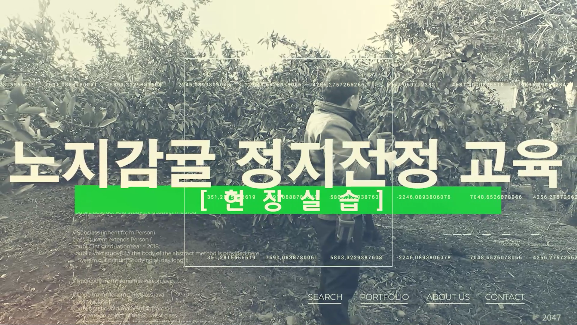 2022년 노지감귤 정지전정 교육(현장실습)
