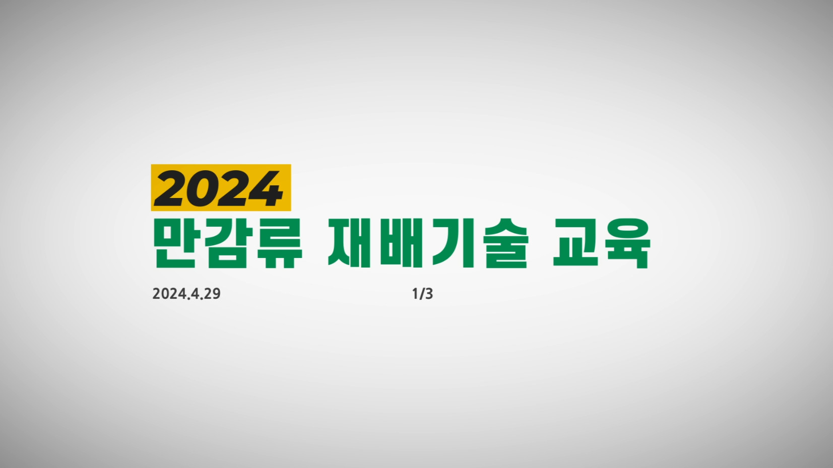 2024만감류재배기술교육_5~6월관리 1