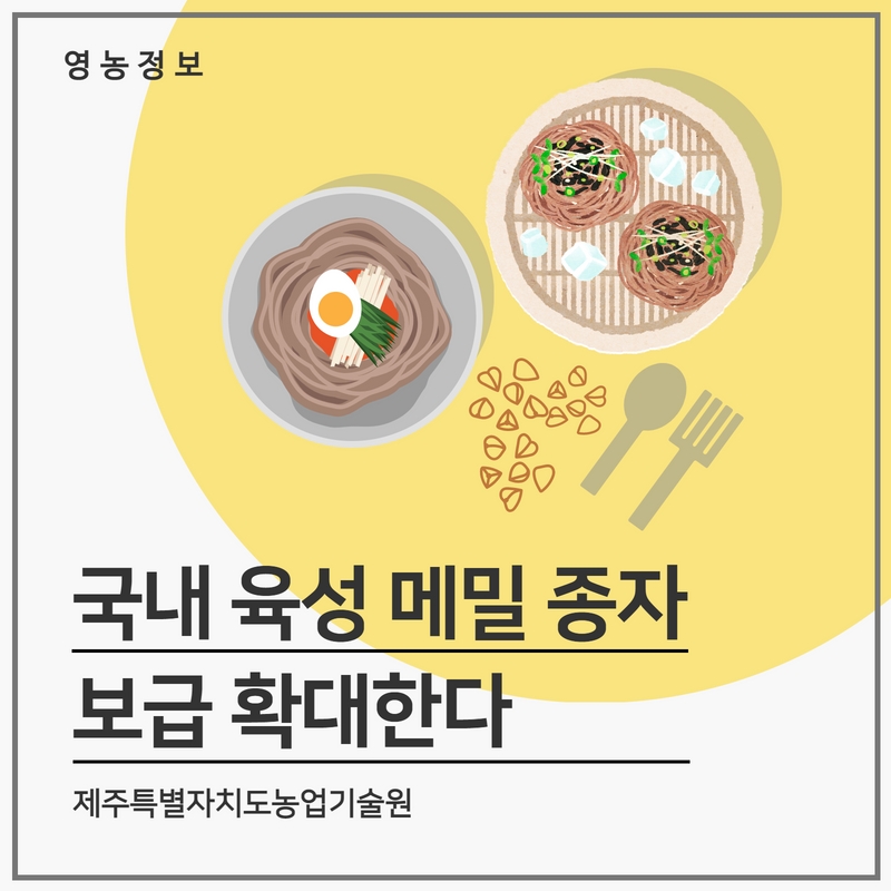 메1..jpg