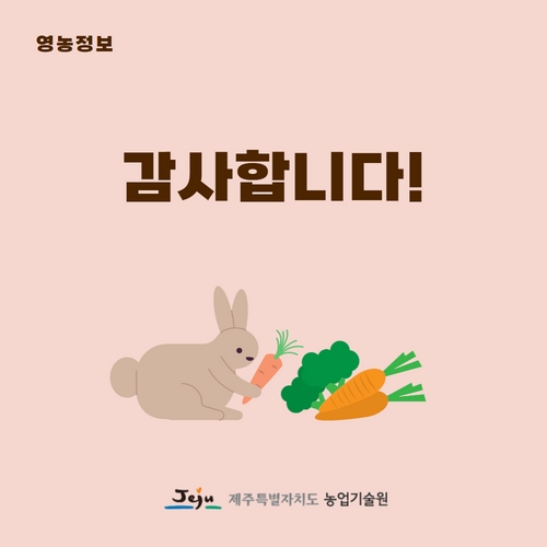 7.카드뉴스_당근생산량급감 1 (5).jpg