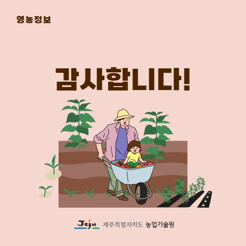 35.1분뉴스_고소득애플망고 5.jpg