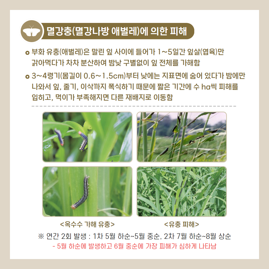 25. 4. 멸강나방 4.png