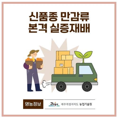 9.1분뉴스_감귤신품종 1.jpg