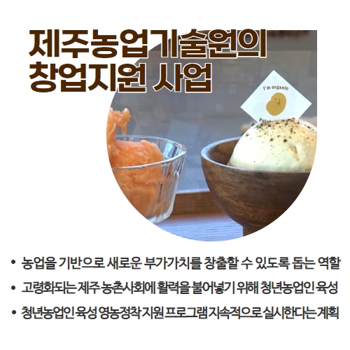  41.1분뉴스_제주미래청년농부 4.jpg