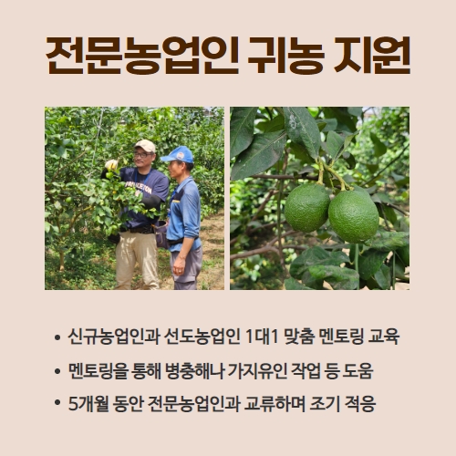 32.1분뉴스_신규농멘토링 3.jpg