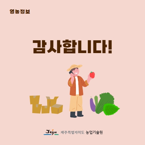 11.1분뉴스_딸기탄산가스 5.jpg