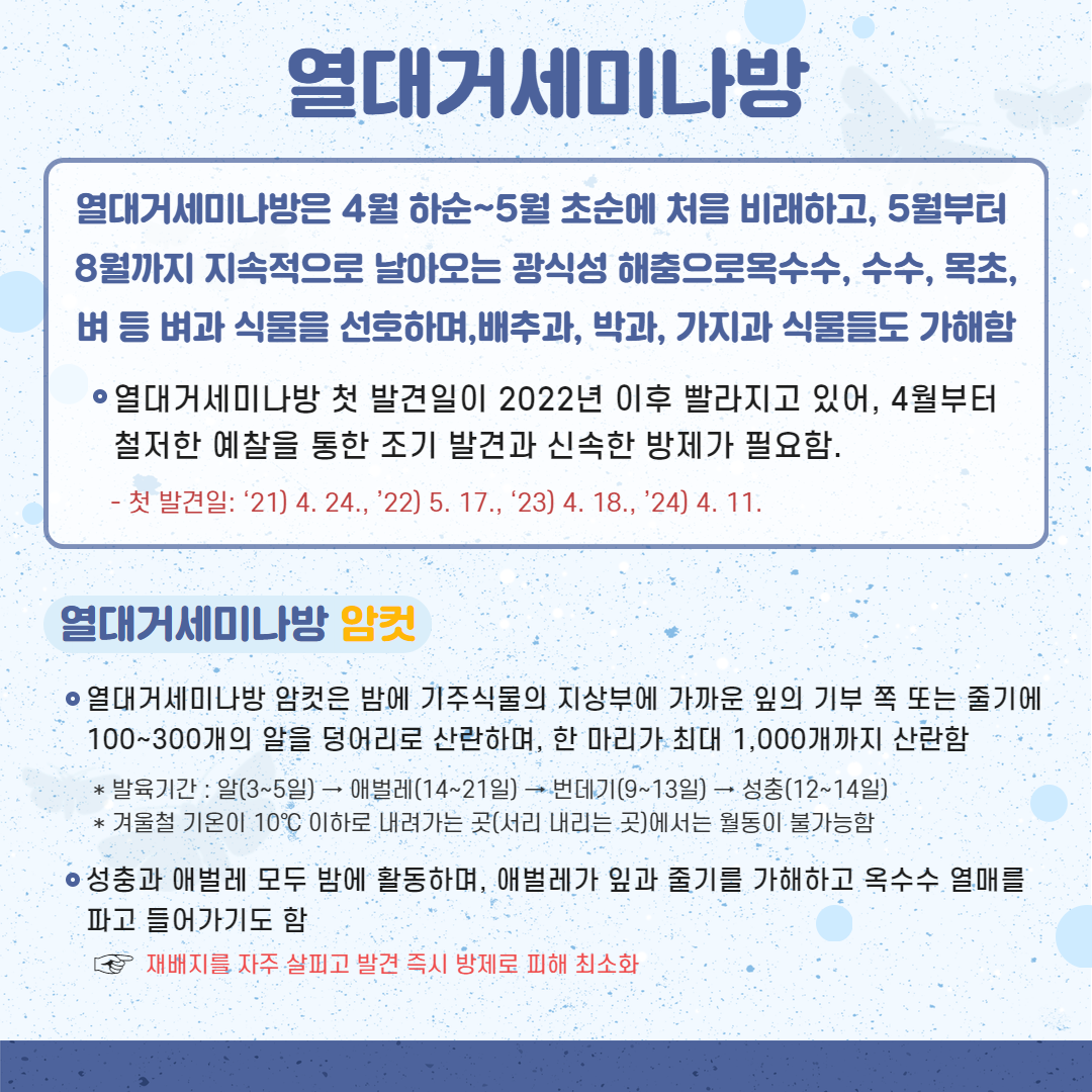 25. 4. 열대거세미나방 2.png