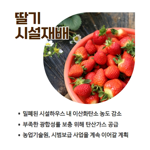 11.1분뉴스_딸기탄산가스 2.jpg