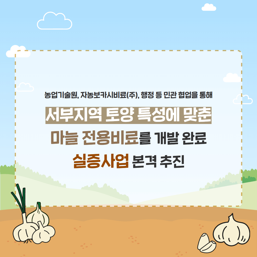 27. 마늘 전용비료 개발 (2).jpg