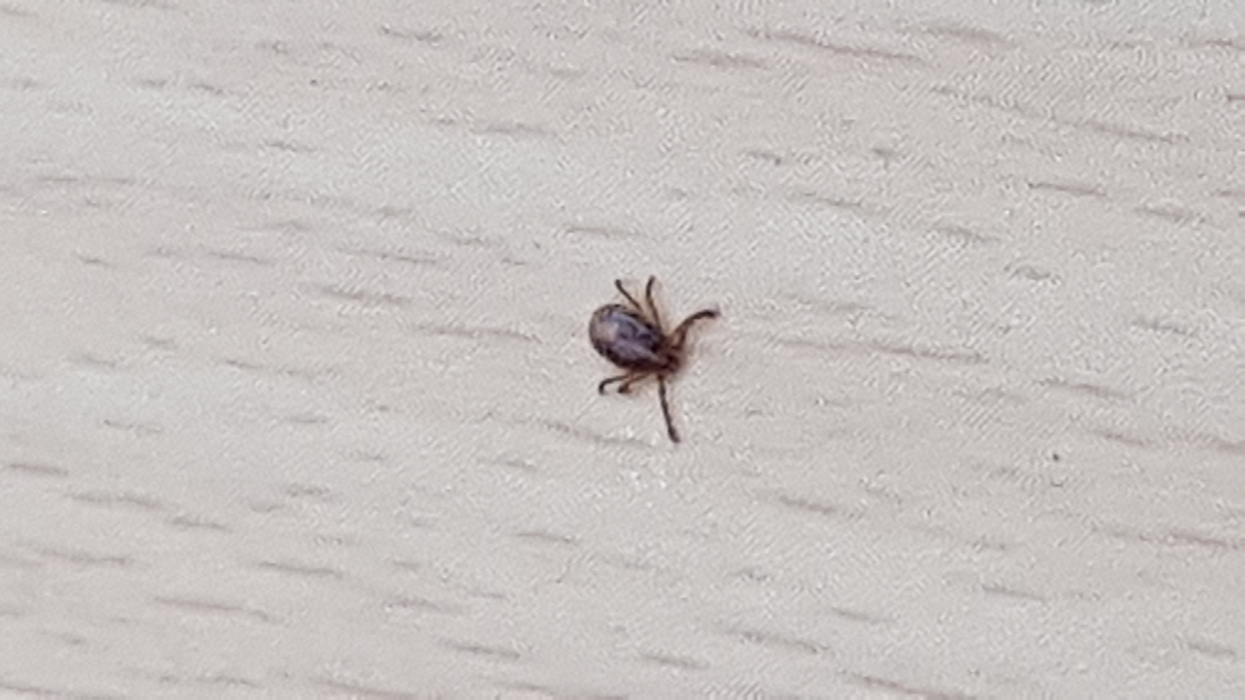 밭에 방제를 어떻게할까요?